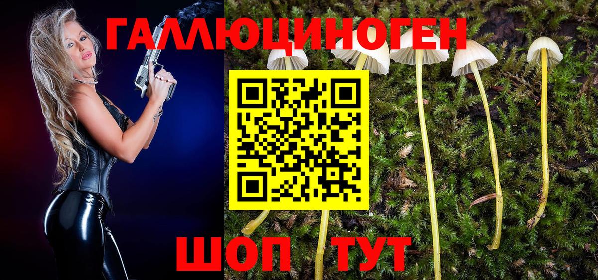 Галлюциногенные грибы мухоморы  Вход с VPN  Нягань  Псилоцибиновые грибы мухоморы 